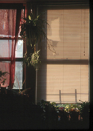 an ordinary life, New York