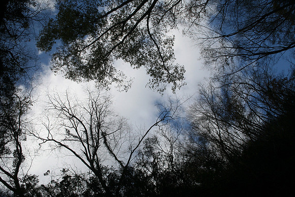early winter -  初冬の空
