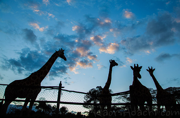 Nairobi, Kenya