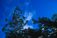 Blue sky and hot day everyday...