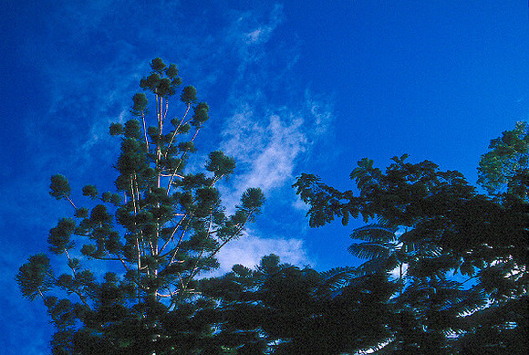 Blue sky and hot day everyday...