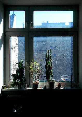 cold outside, warm in here