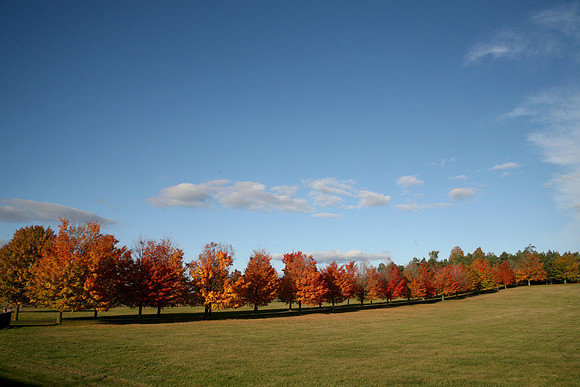 Canada, Fall