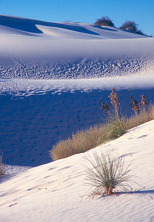 more white sands, not snow..