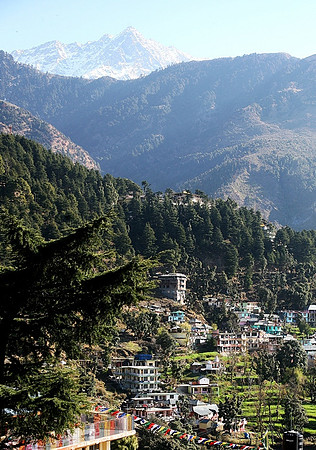a morning view in Dharamsala