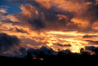 sunset is nice, too