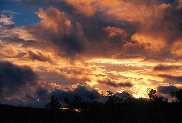sunset is nice, too