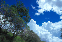 another day with the blue sky