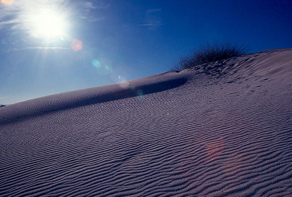 White Sands National Park   ホワイトサンズ国立公園