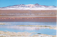 Salar de Uyuni, the Pink Lake -  ウユニ塩湖　ピンクの湖