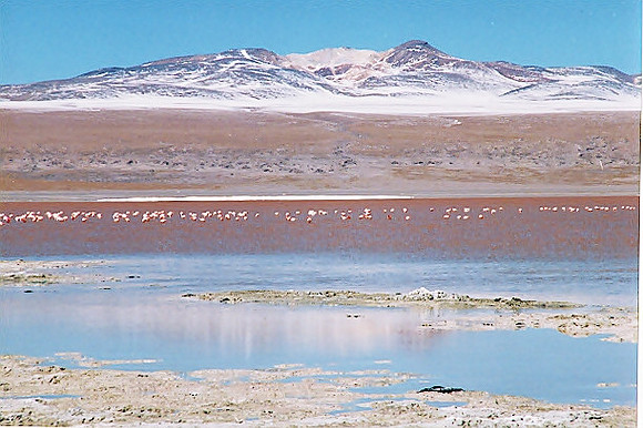 Salar de Uyuni, the Pink Lake -  ウユニ塩湖　ピンクの湖