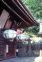 the ancient capital, Nara     奈良