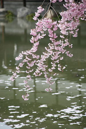 transience
