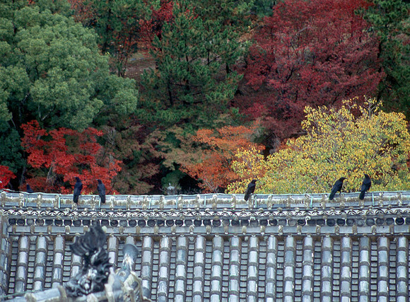 姫路城 Himeji jo castle