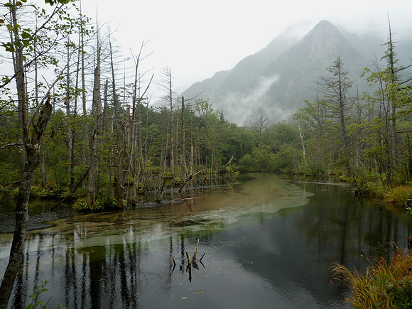 stillness